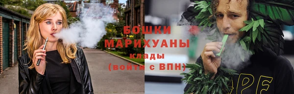 молекула духа Волоколамск