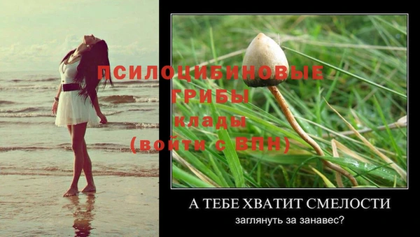 молекула духа Волоколамск
