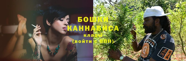 молекула духа Волоколамск