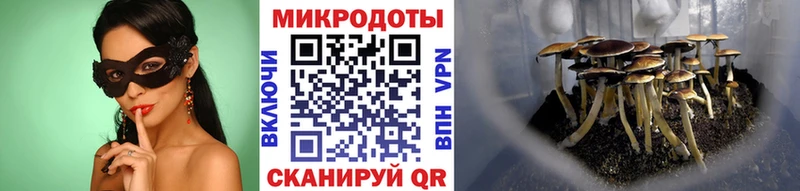 Галлюциногенные грибы Cubensis  маркетплейс какой сайт  Верхний Уфалей  продажа наркотиков 